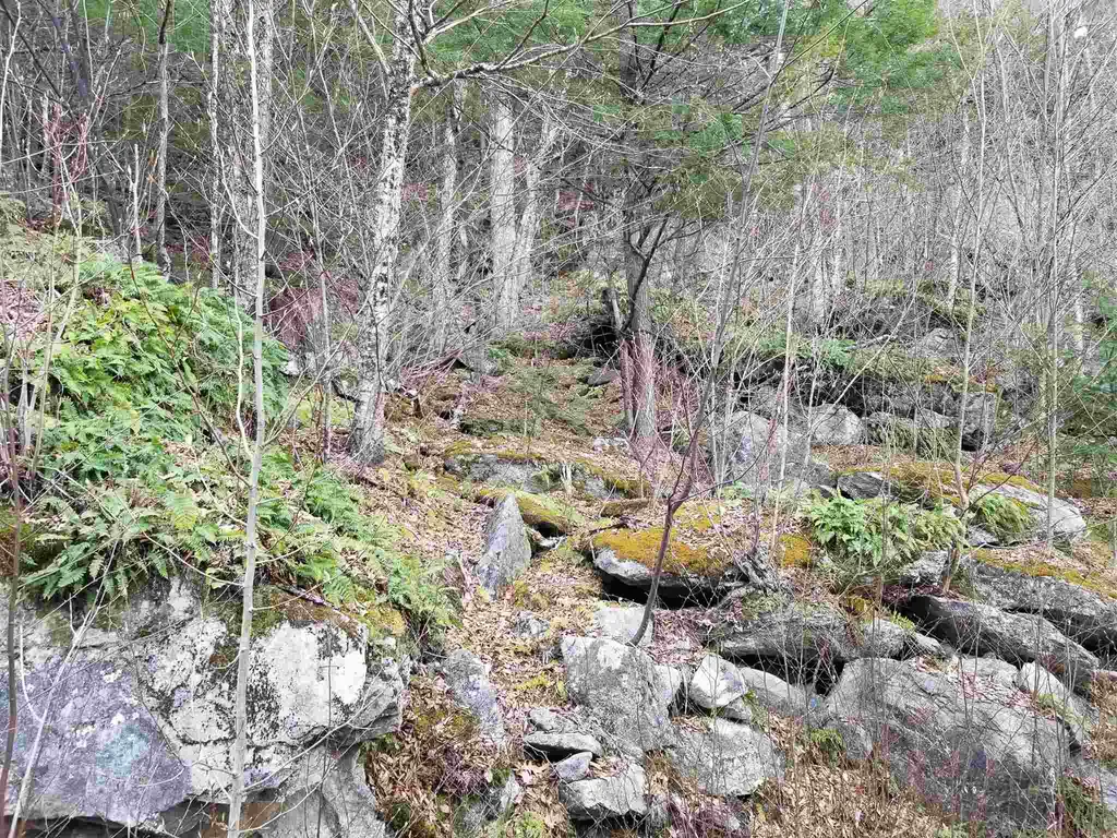 Lot 4 Quarry Road Campton NH 03223