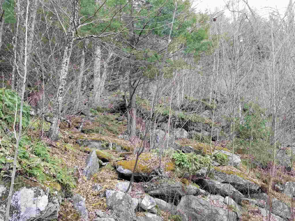 Lot 4 Quarry Road Campton NH 03223