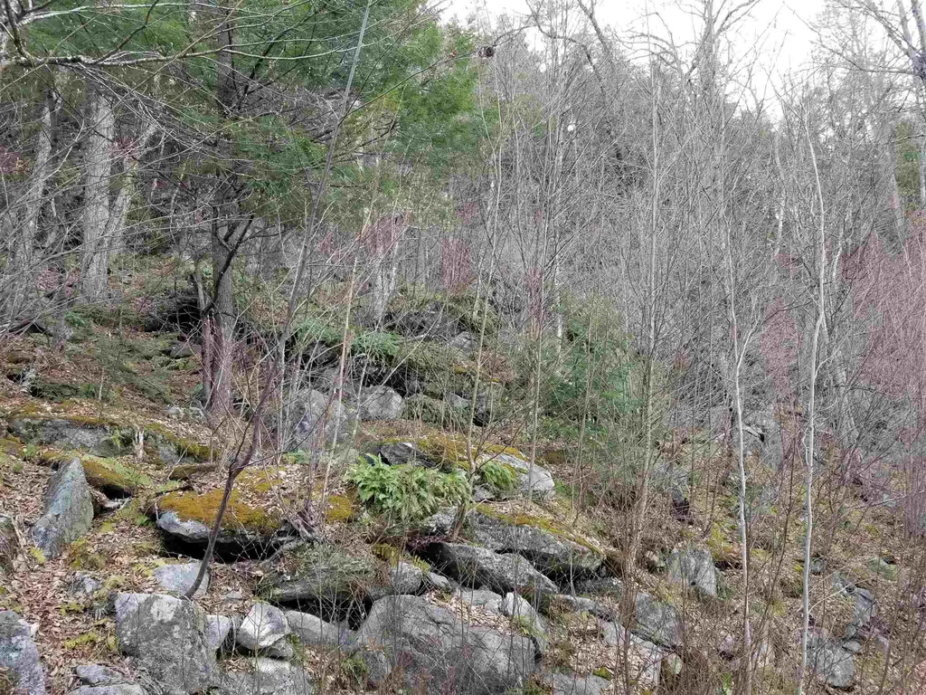 Lot 4 Quarry Road Campton NH 03223