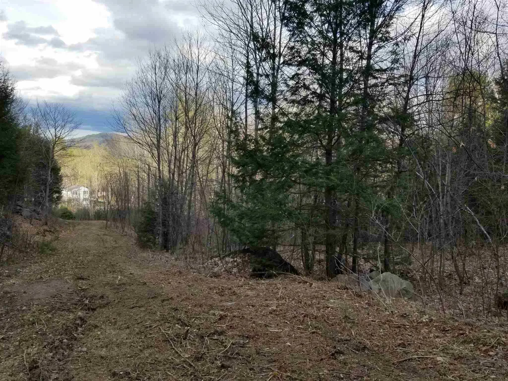 Lot 4 Quarry Road Campton NH 03223
