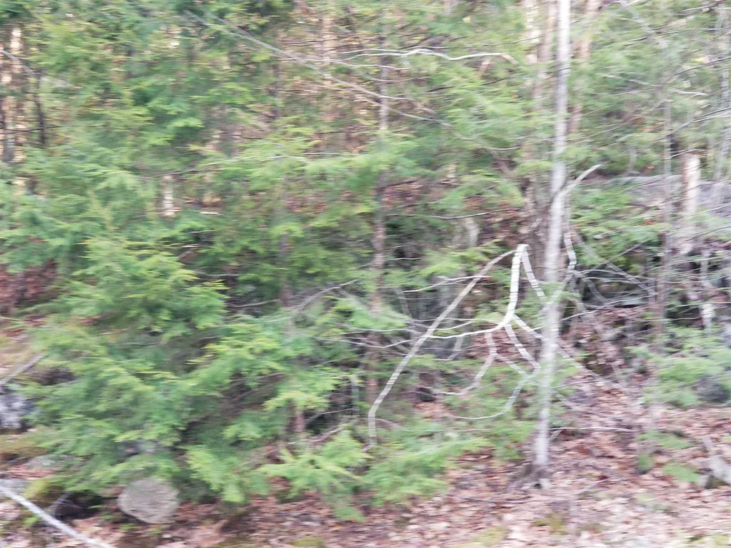Lot 4 Quarry Road Campton NH 03223
