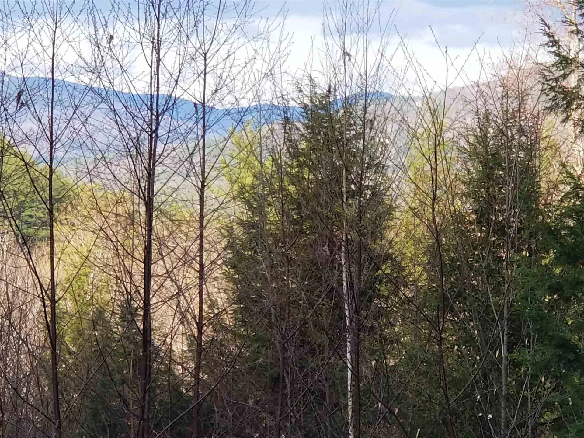 Lot 4 Quarry Road Campton NH 03223