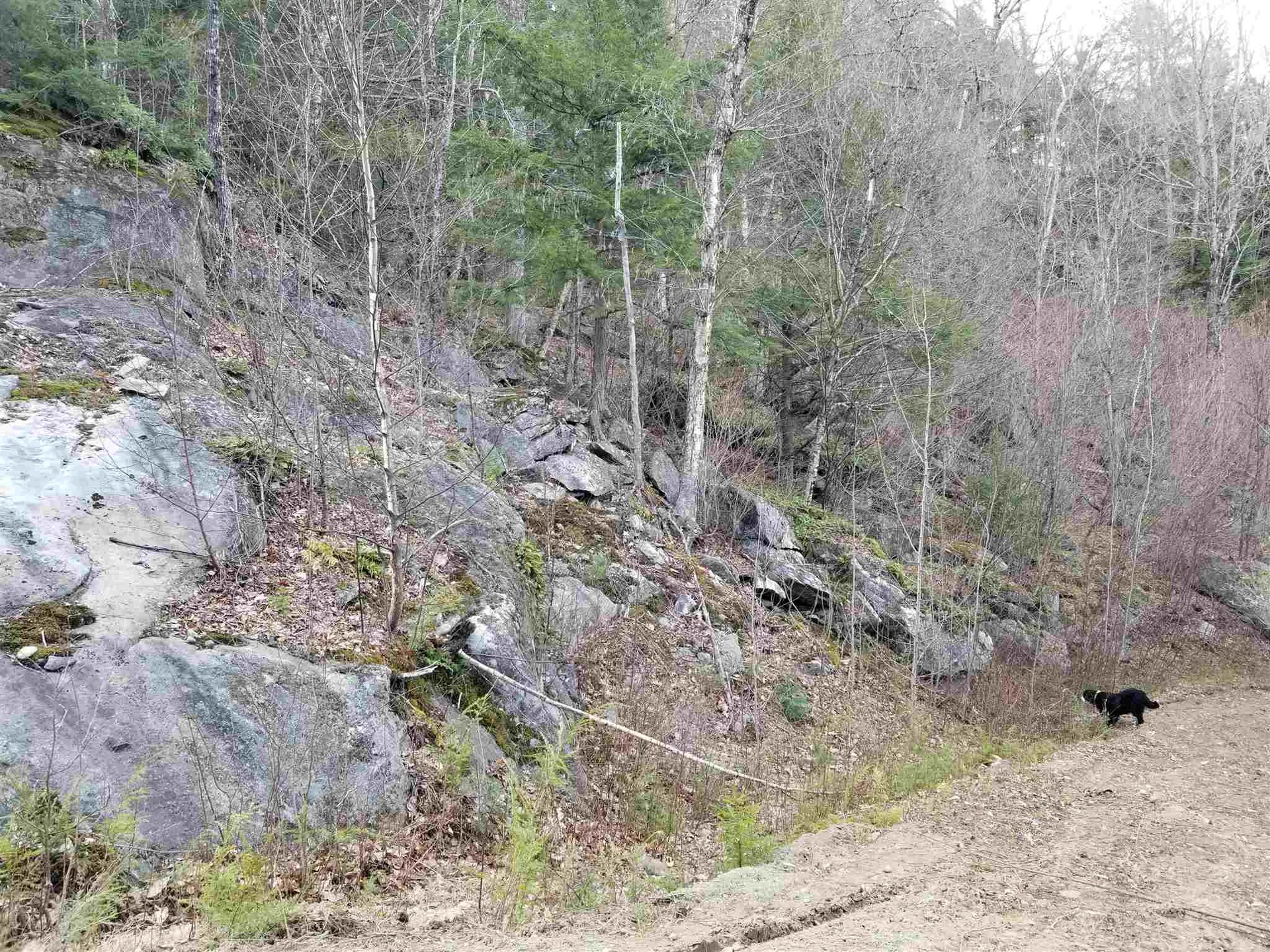 Lot 4 Quarry Road Campton NH 03223