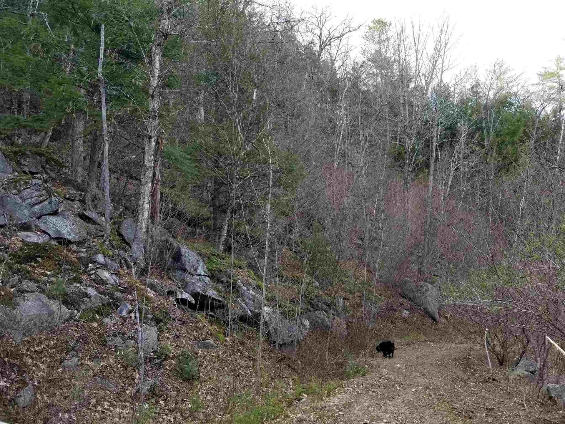 Lot 4 Quarry Road Campton NH 03223