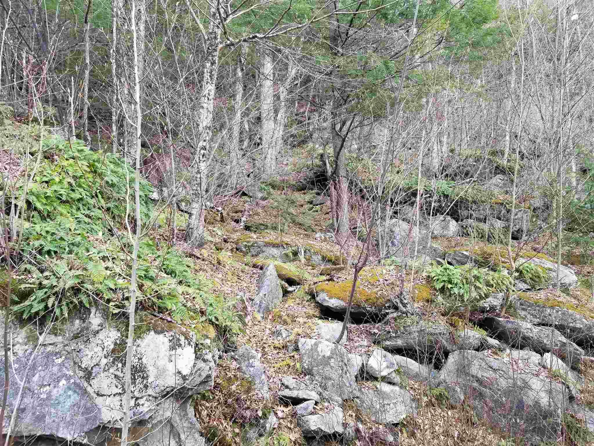 Lot 4 Quarry Road Campton NH 03223