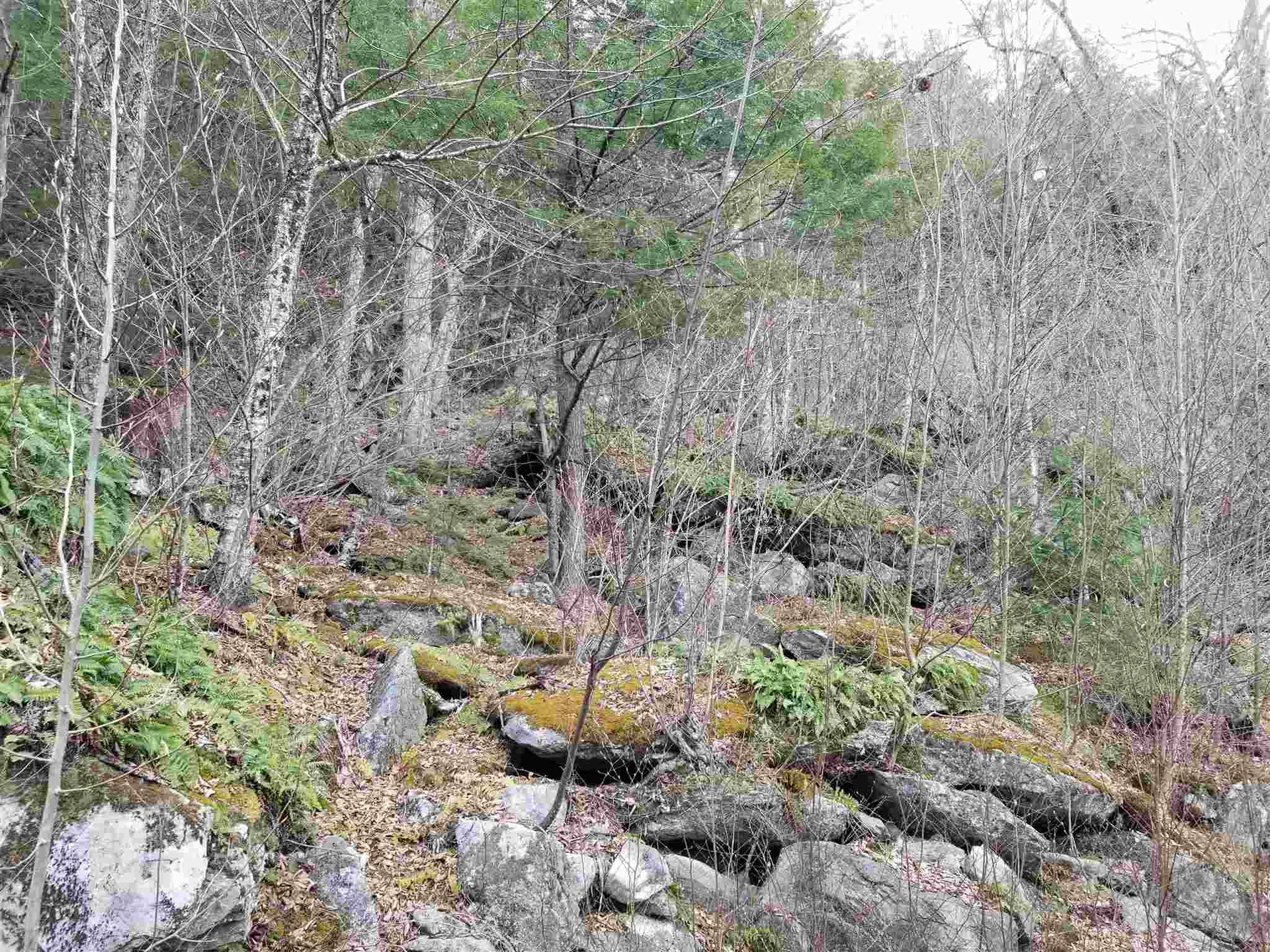 Lot 4 Quarry Road Campton NH 03223