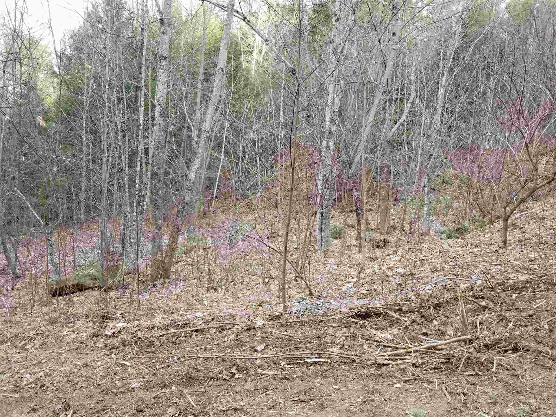 Lot 4 Quarry Road Campton NH 03223