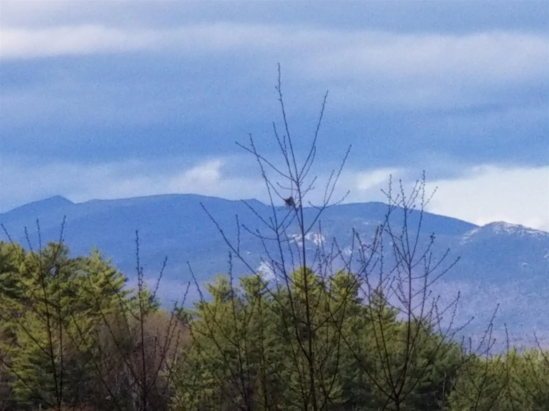 Lot 4 Quarry Road Campton NH 03223