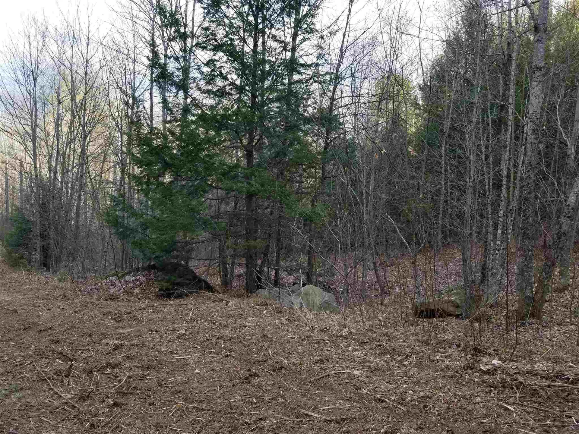 Lot 4 Quarry Road Campton NH 03223