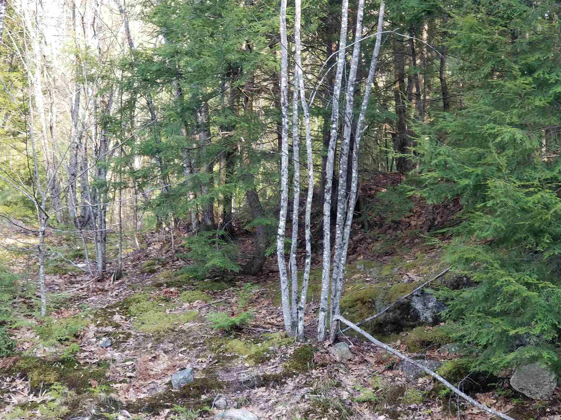 Lot 4 Quarry Road Campton NH 03223