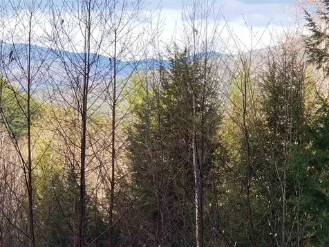 Lot 4 Quarry Road Campton NH 03223