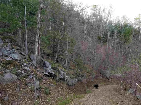 Lot 4 Quarry Road Campton NH 03223