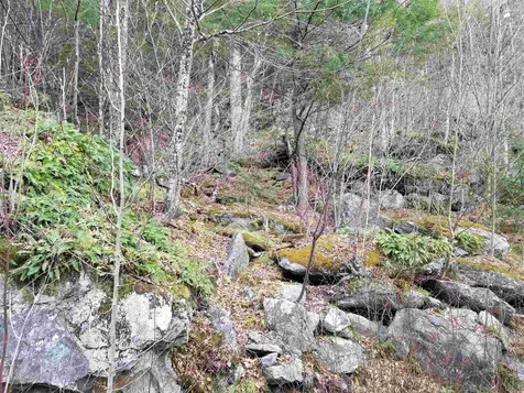 Lot 4 Quarry Road Campton NH 03223