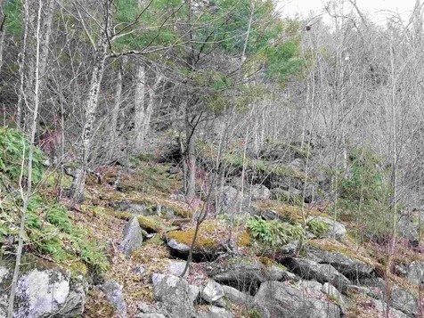 Lot 4 Quarry Road Campton NH 03223