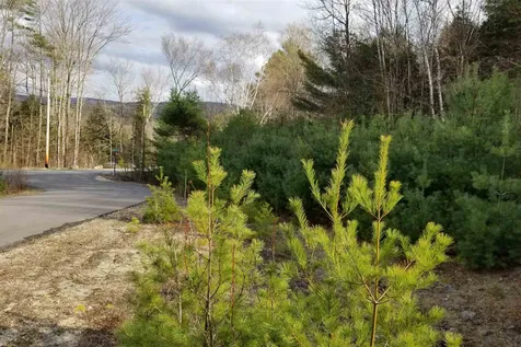 Lot 4 Quarry Road Campton NH 03223