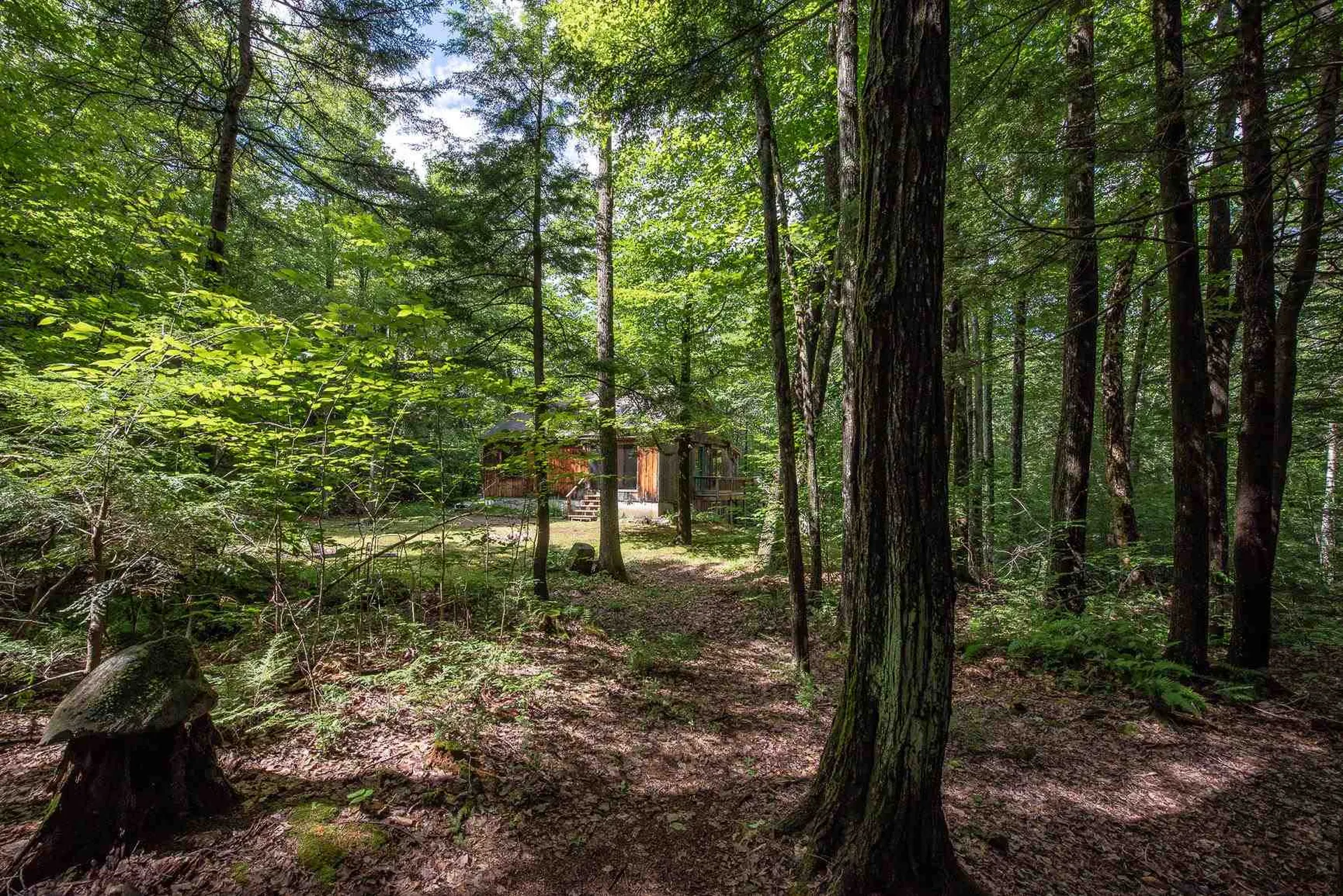 873 Washburn Road Alexandria NH 03222