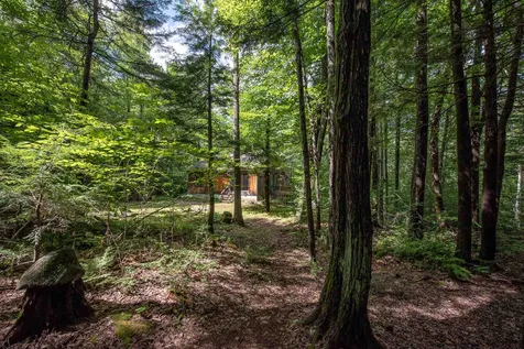 873 Washburn Road Alexandria NH 03222