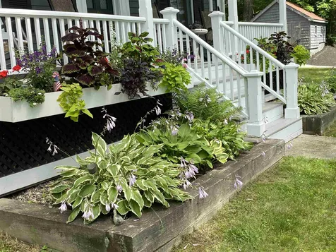 164 Center Street Wolfeboro NH 03894