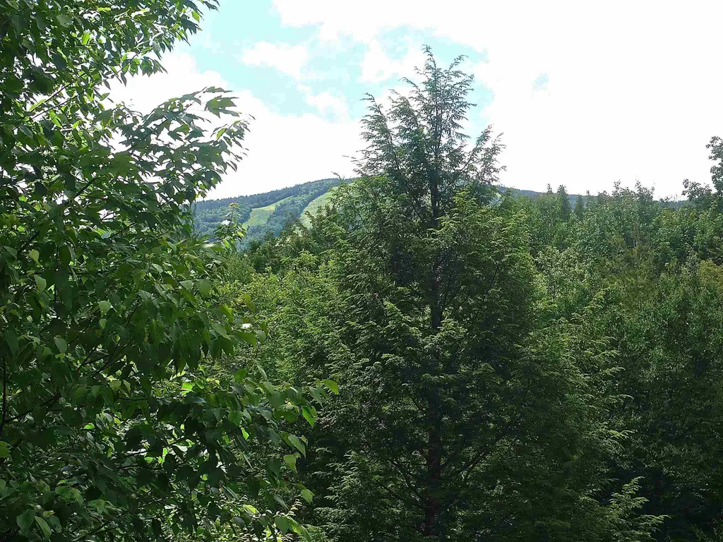 127 West Branch Road Waterville Valley NH 03215