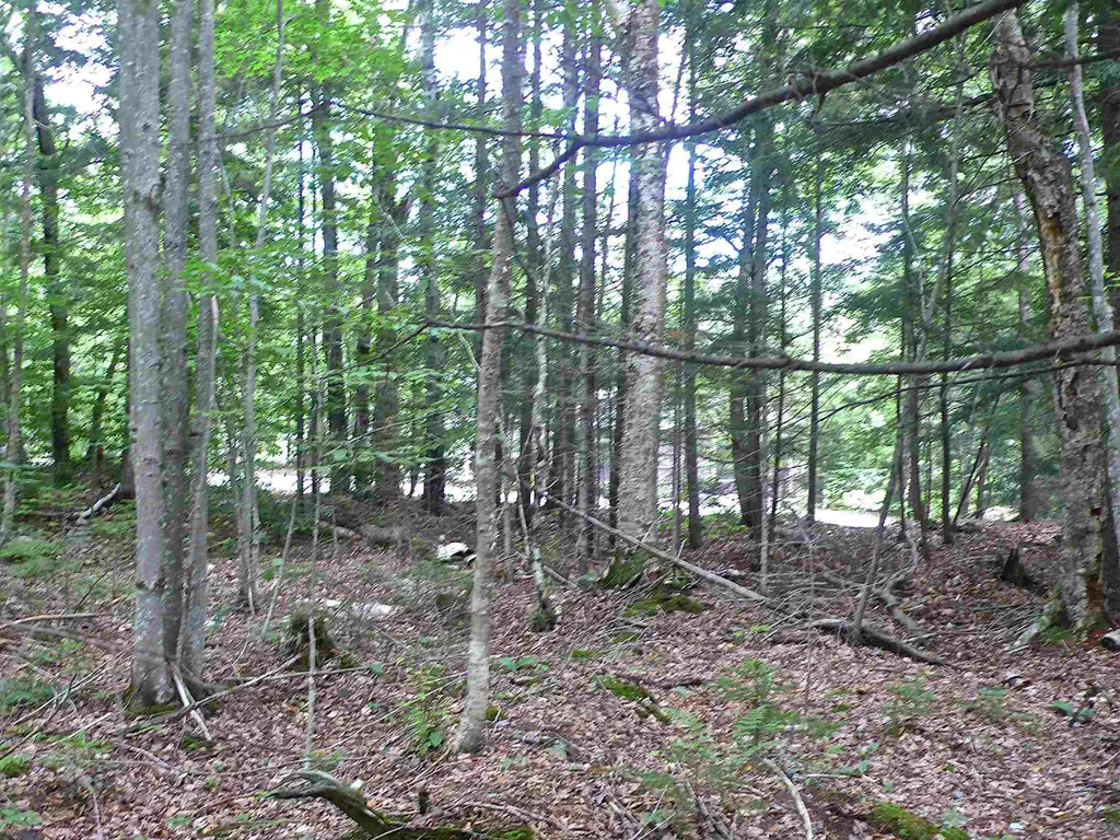 127 West Branch Road Waterville Valley NH 03215