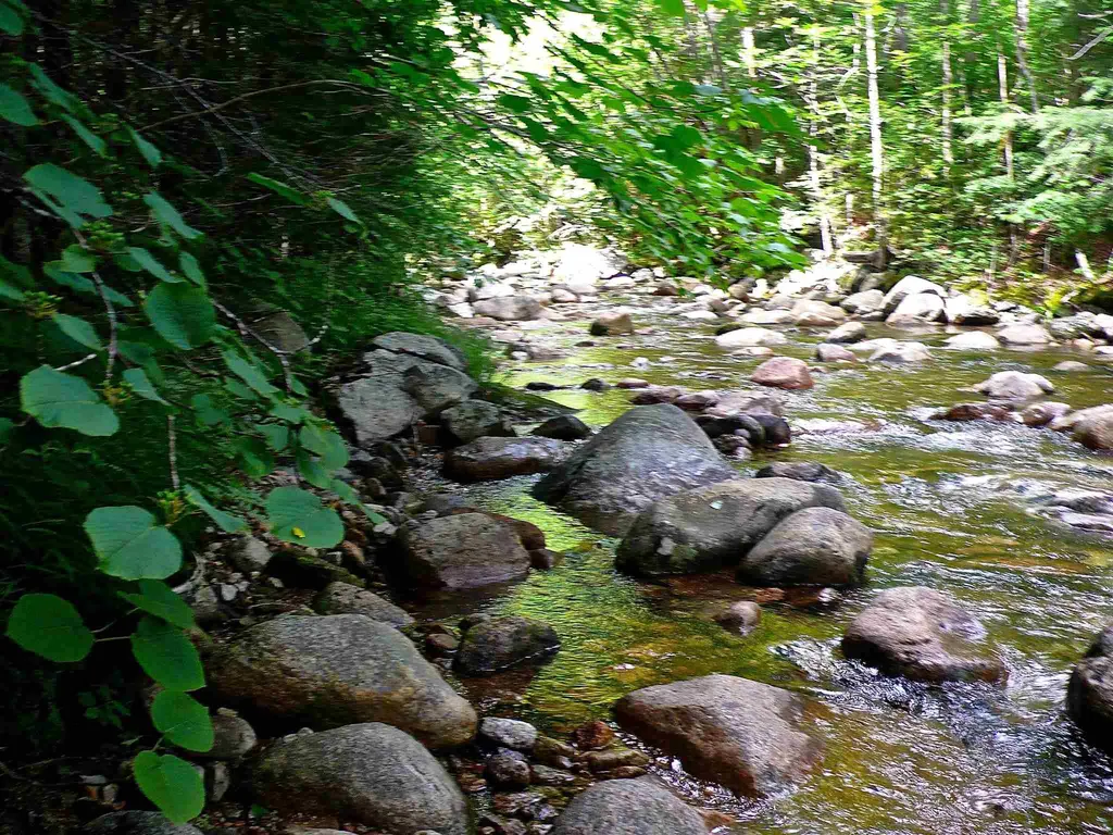 127 West Branch Road Waterville Valley NH 03215