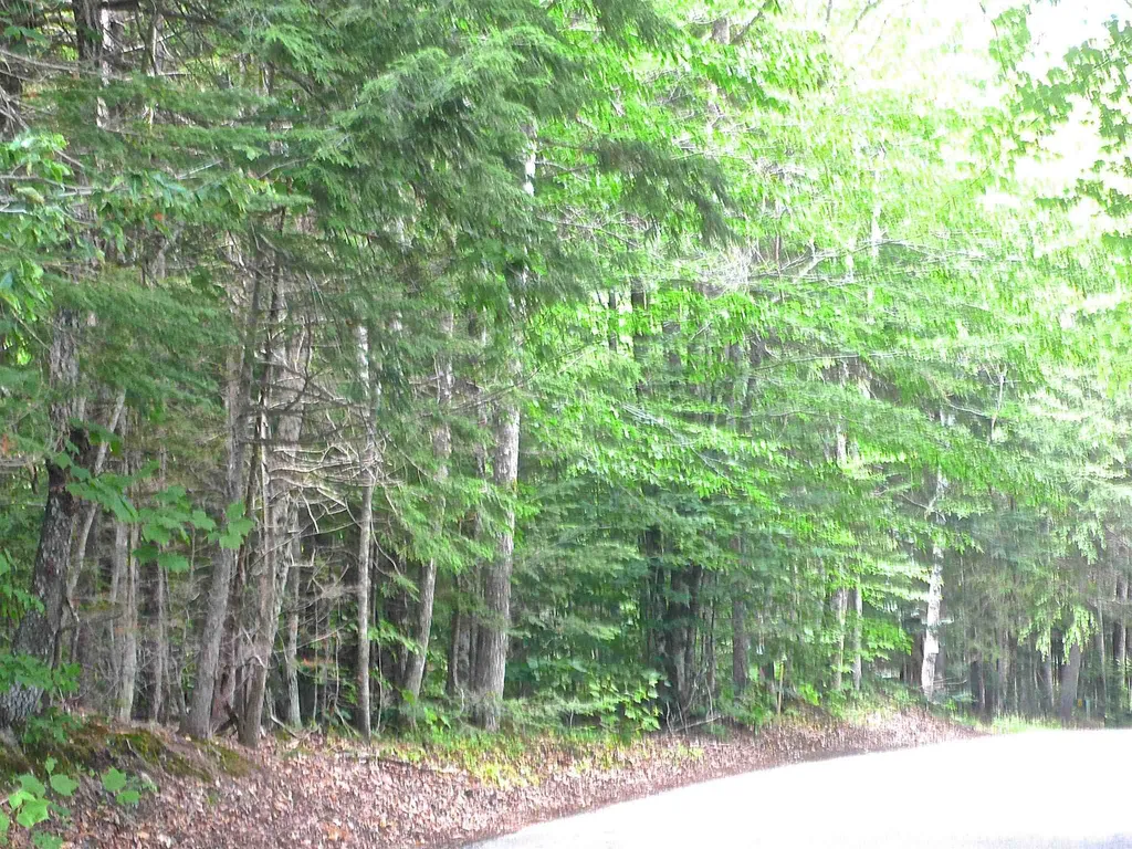 127 West Branch Road Waterville Valley NH 03215
