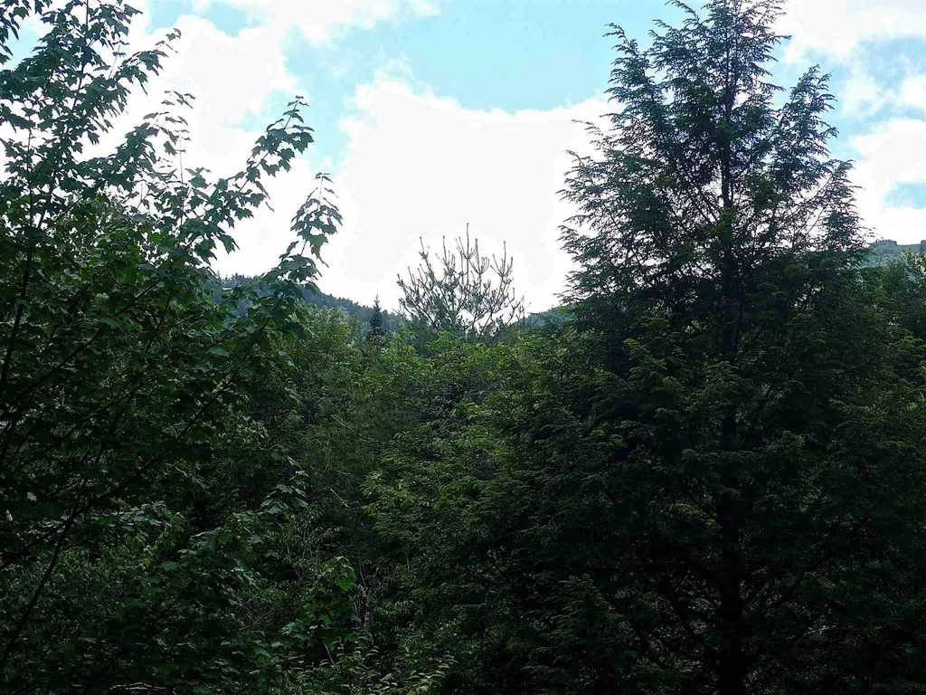 127 West Branch Road Waterville Valley NH 03215