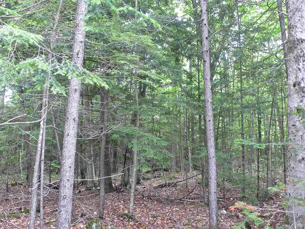 127 West Branch Road Waterville Valley NH 03215