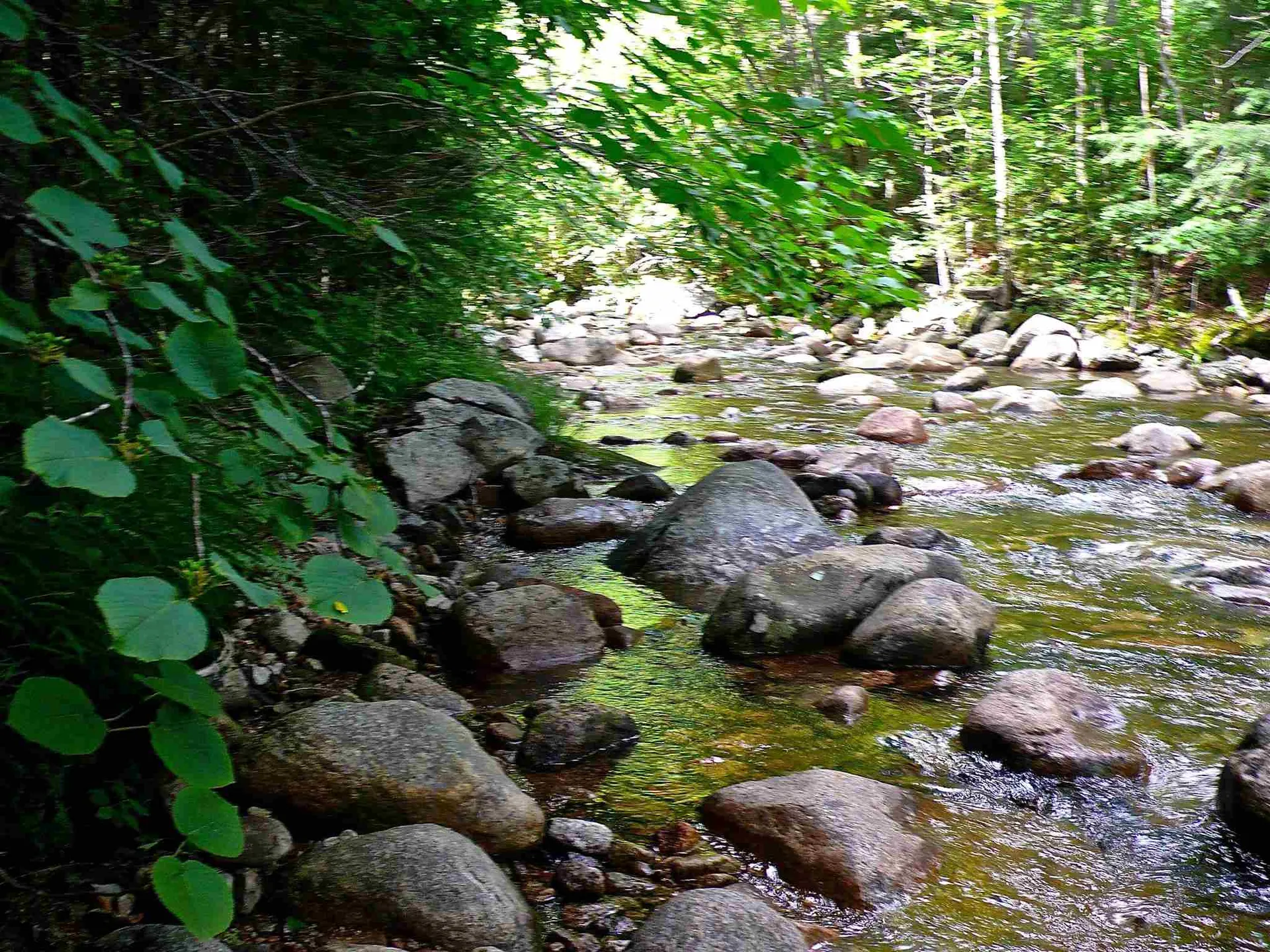 127 West Branch Road Waterville Valley NH 03215