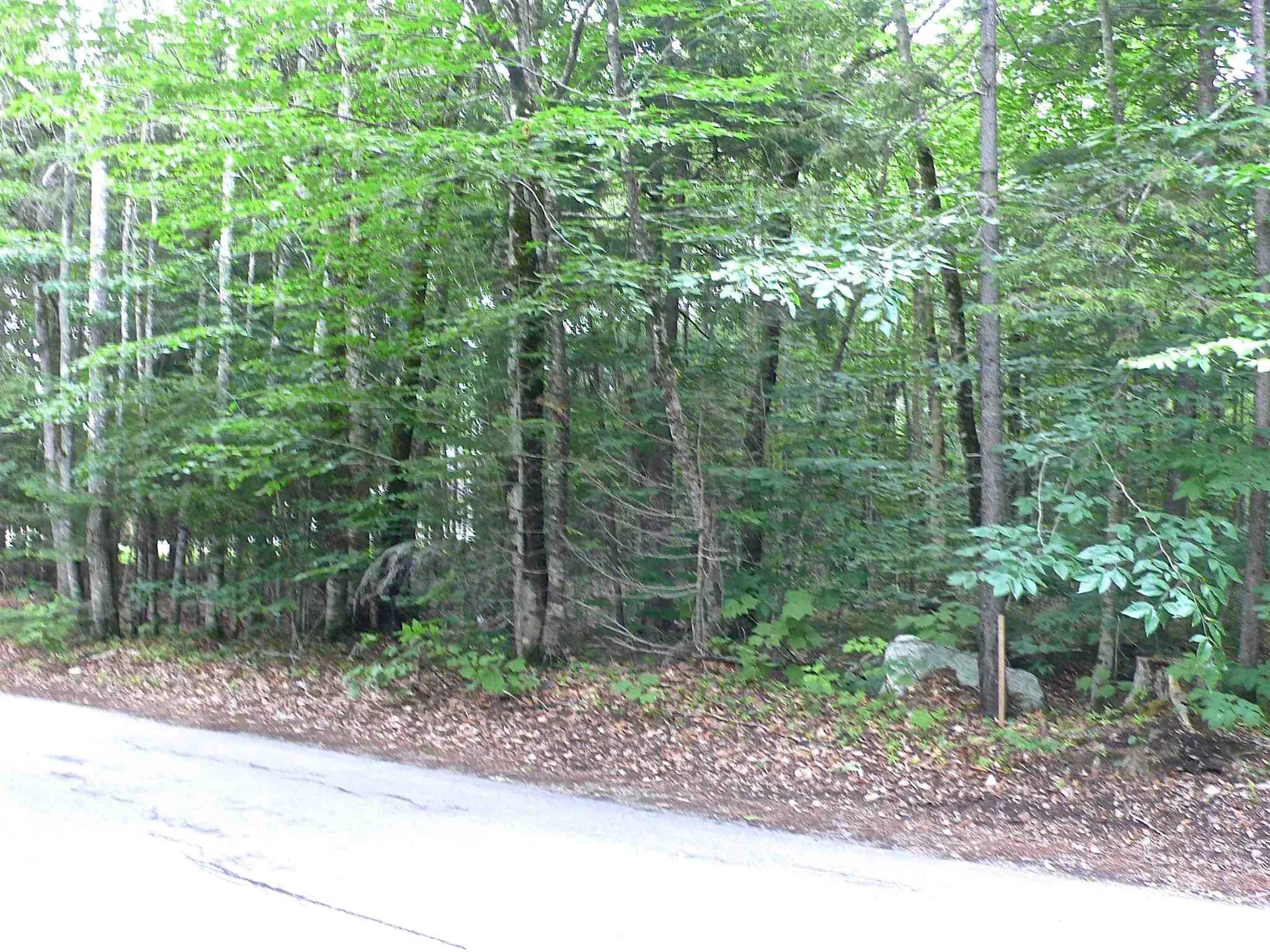 127 West Branch Road Waterville Valley NH 03215