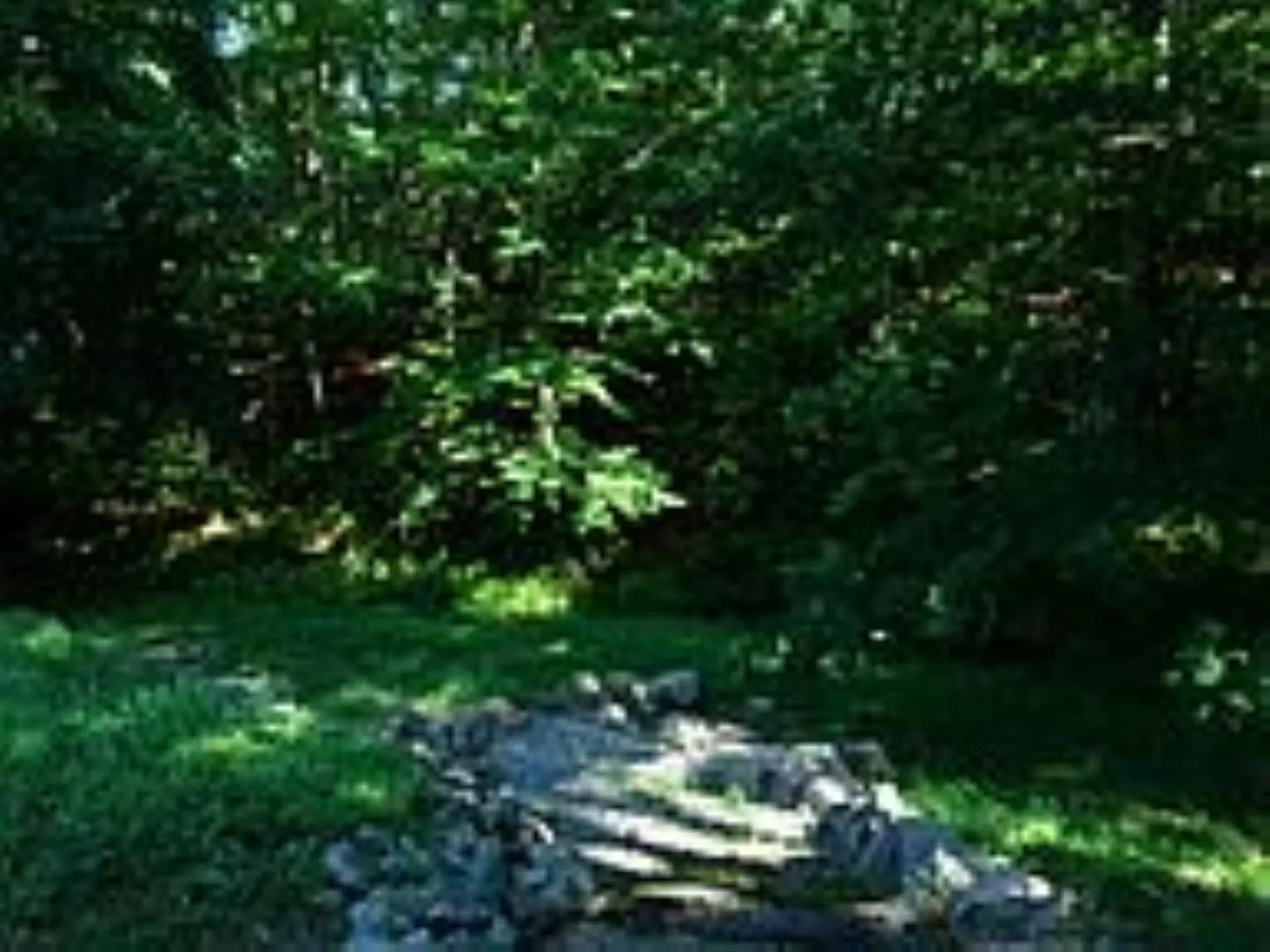 338 Goffstown Back Road Goffstown NH 03045