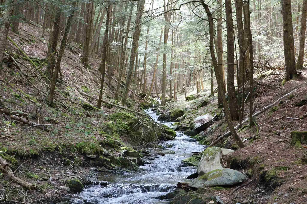 0 Potato Hill Road South Thetford VT 05045