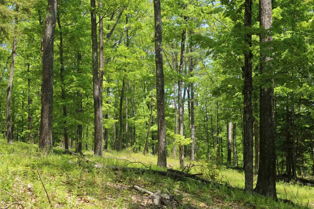 0 Potato Hill Road South Thetford VT 05045