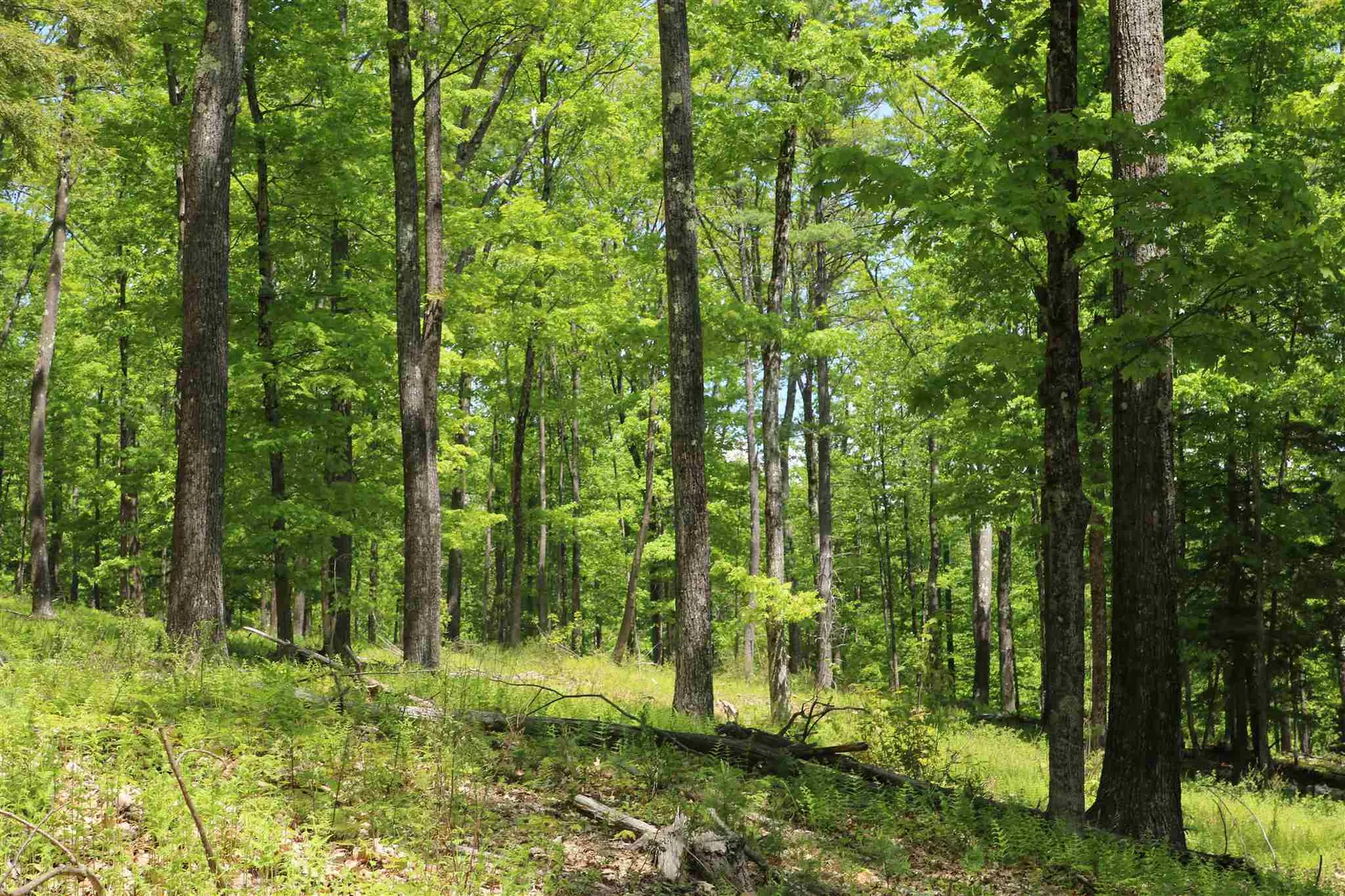 0 Potato Hill Road South Thetford VT 05045