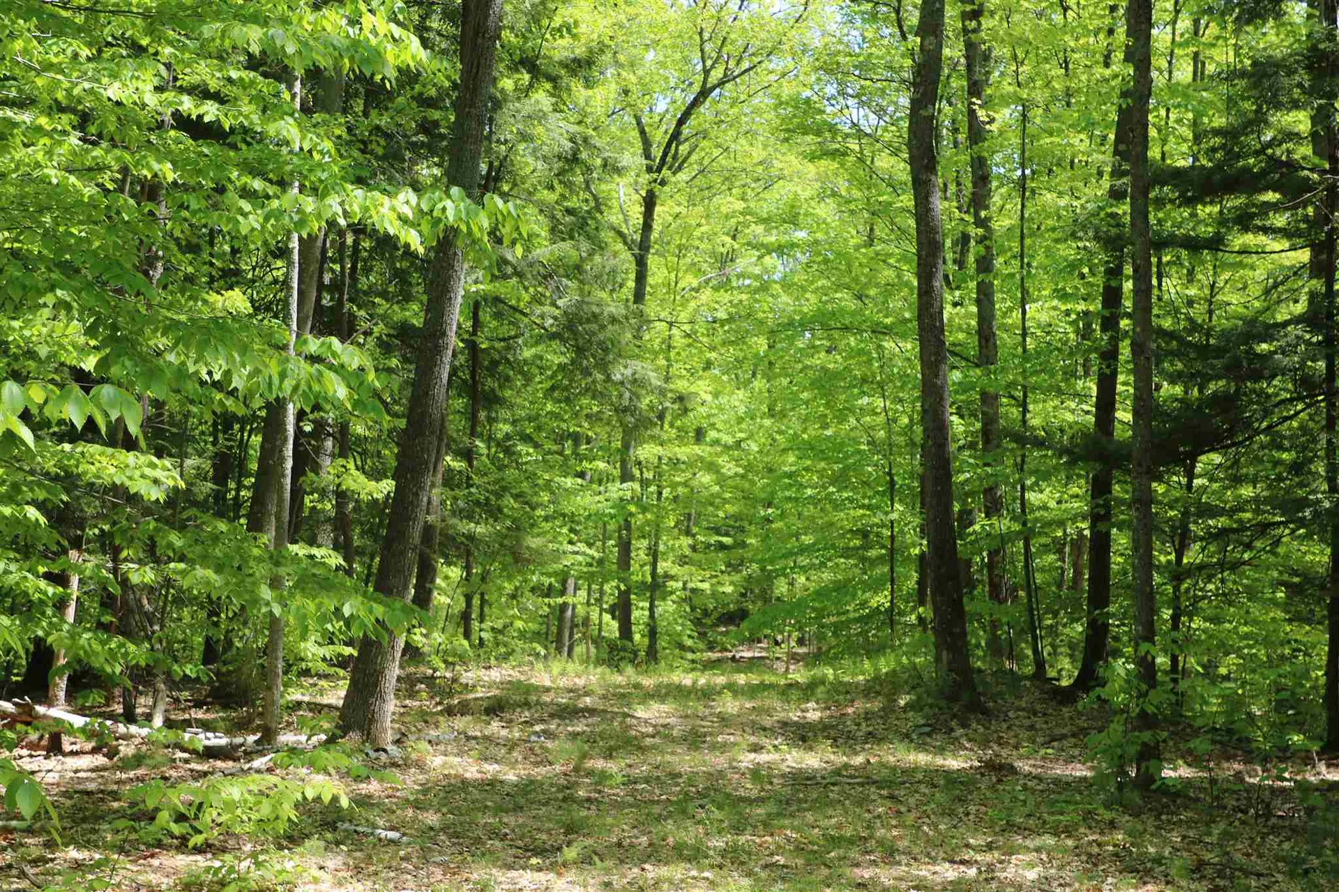 0 Potato Hill Road South Thetford VT 05045