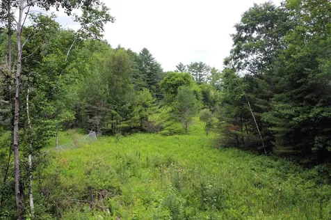 4826 Us Route 5 Barnet VT 05821