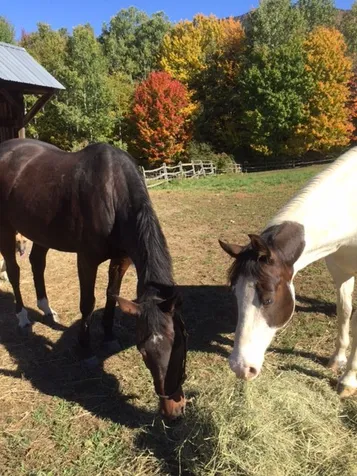 865 Kimball Farm Road West Windsor VT 05037