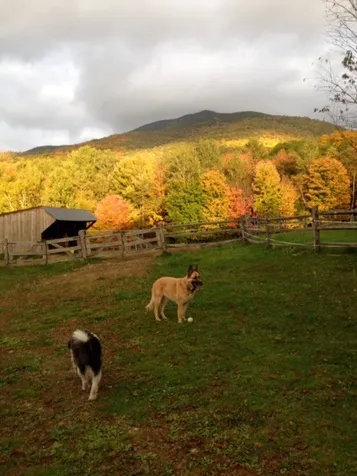 865 Kimball Farm Road West Windsor VT 05037