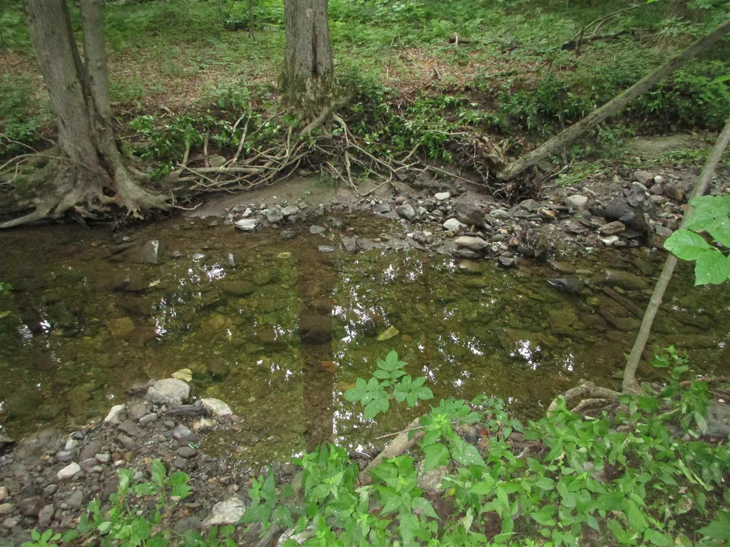506 Swamp Road Hinesburg VT 05461