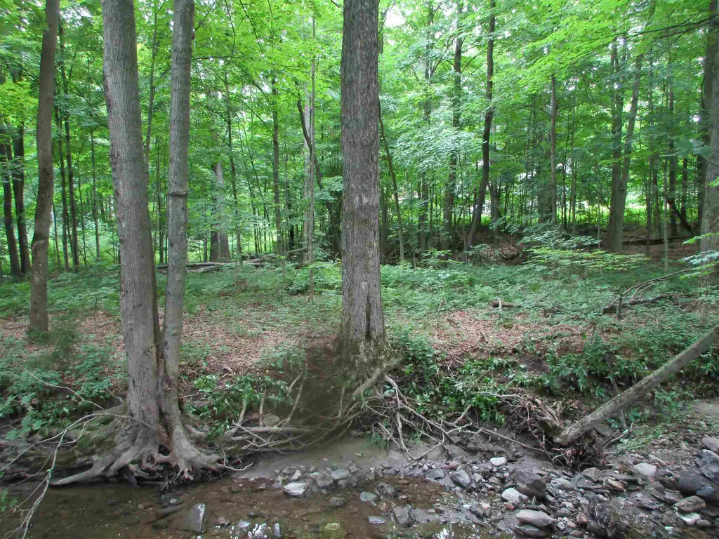 506 Swamp Road Hinesburg VT 05461