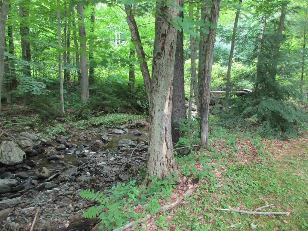 506 Swamp Road Hinesburg VT 05461