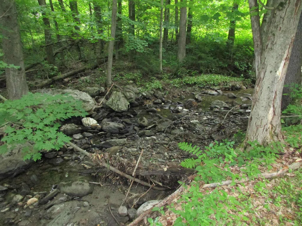 506 Swamp Road Hinesburg VT 05461