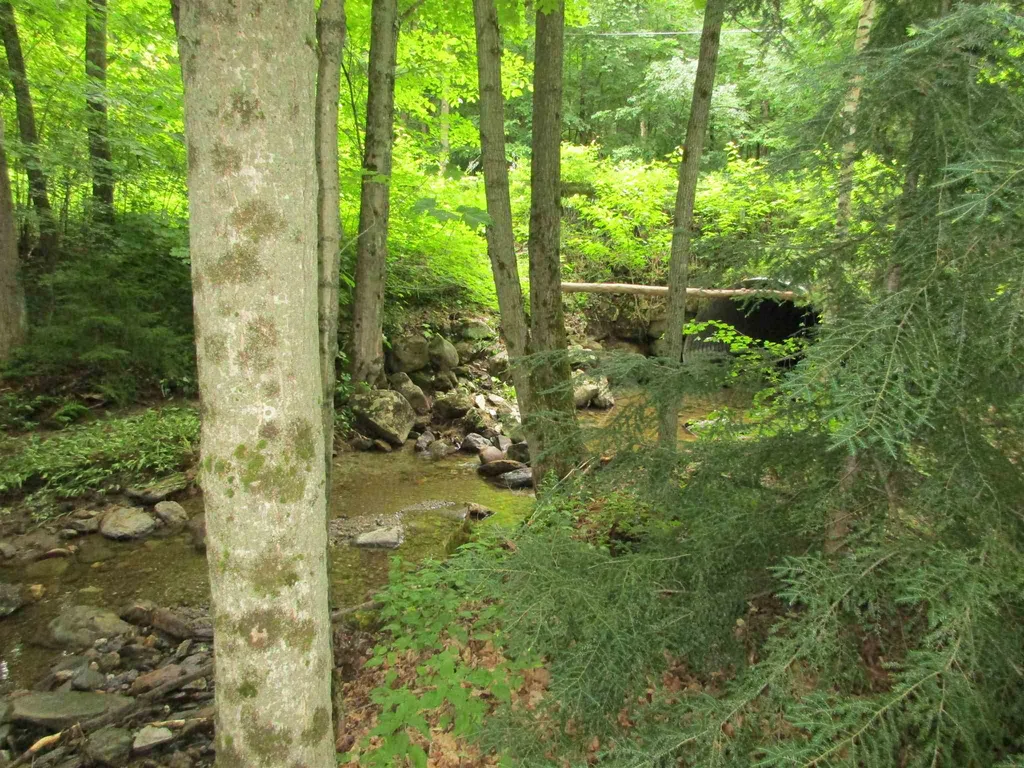 506 Swamp Road Hinesburg VT 05461