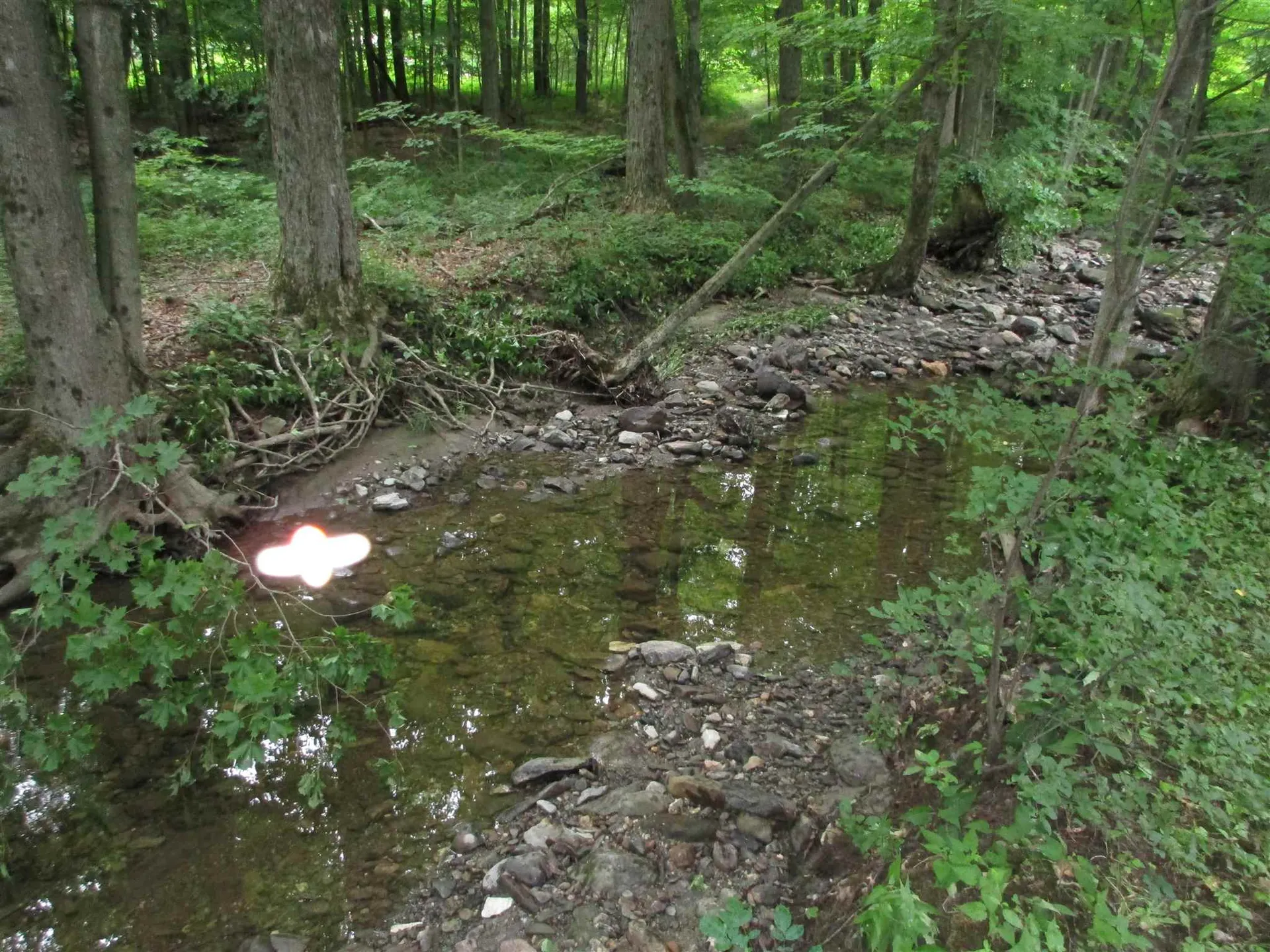 506 Swamp Road Hinesburg VT 05461
