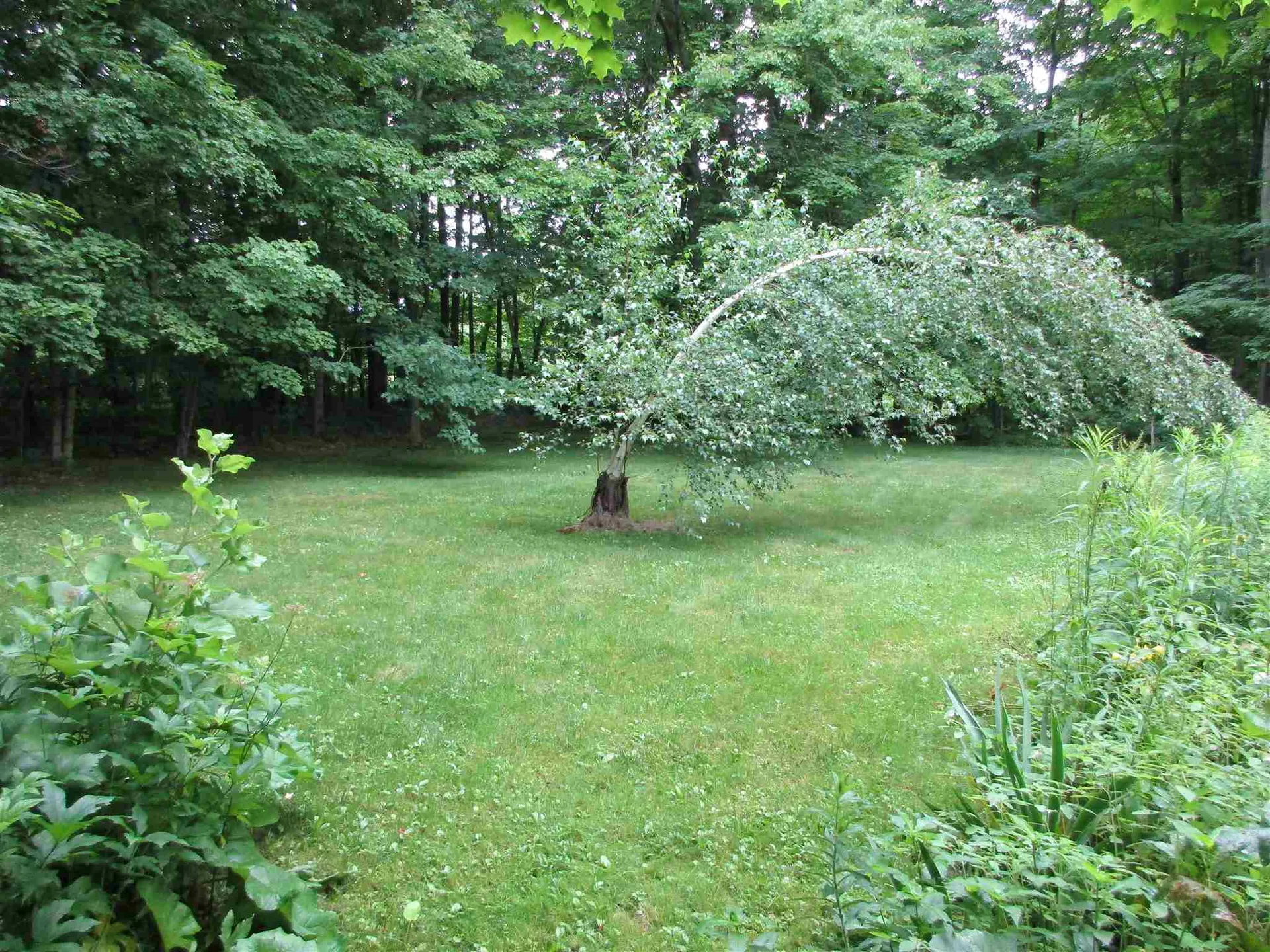 506 Swamp Road Hinesburg VT 05461