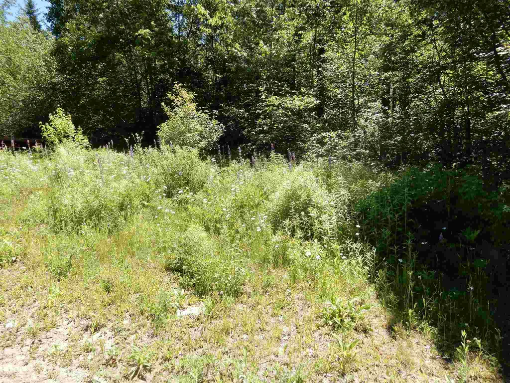 254 River Road Canaan NH 03741