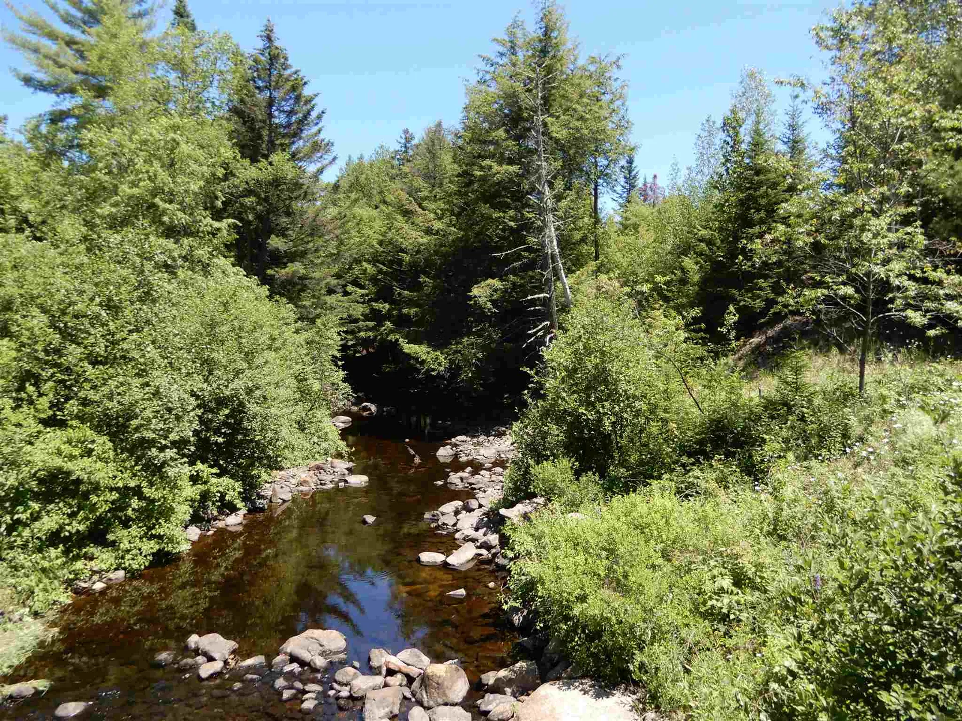 254 River Road Canaan NH 03741