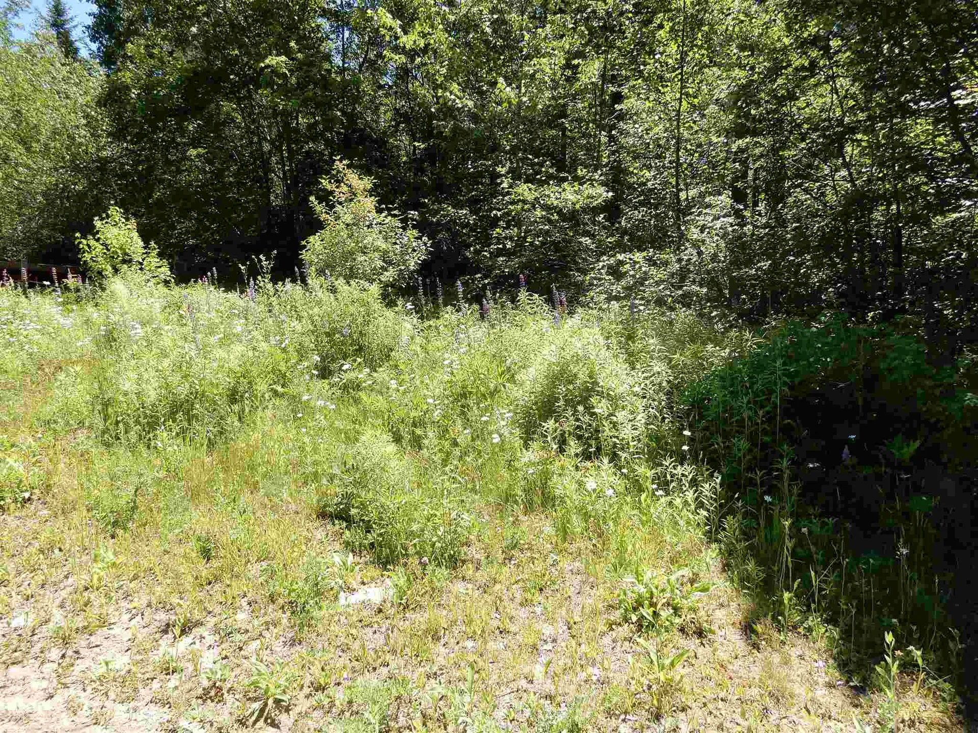 254 River Road Canaan NH 03741