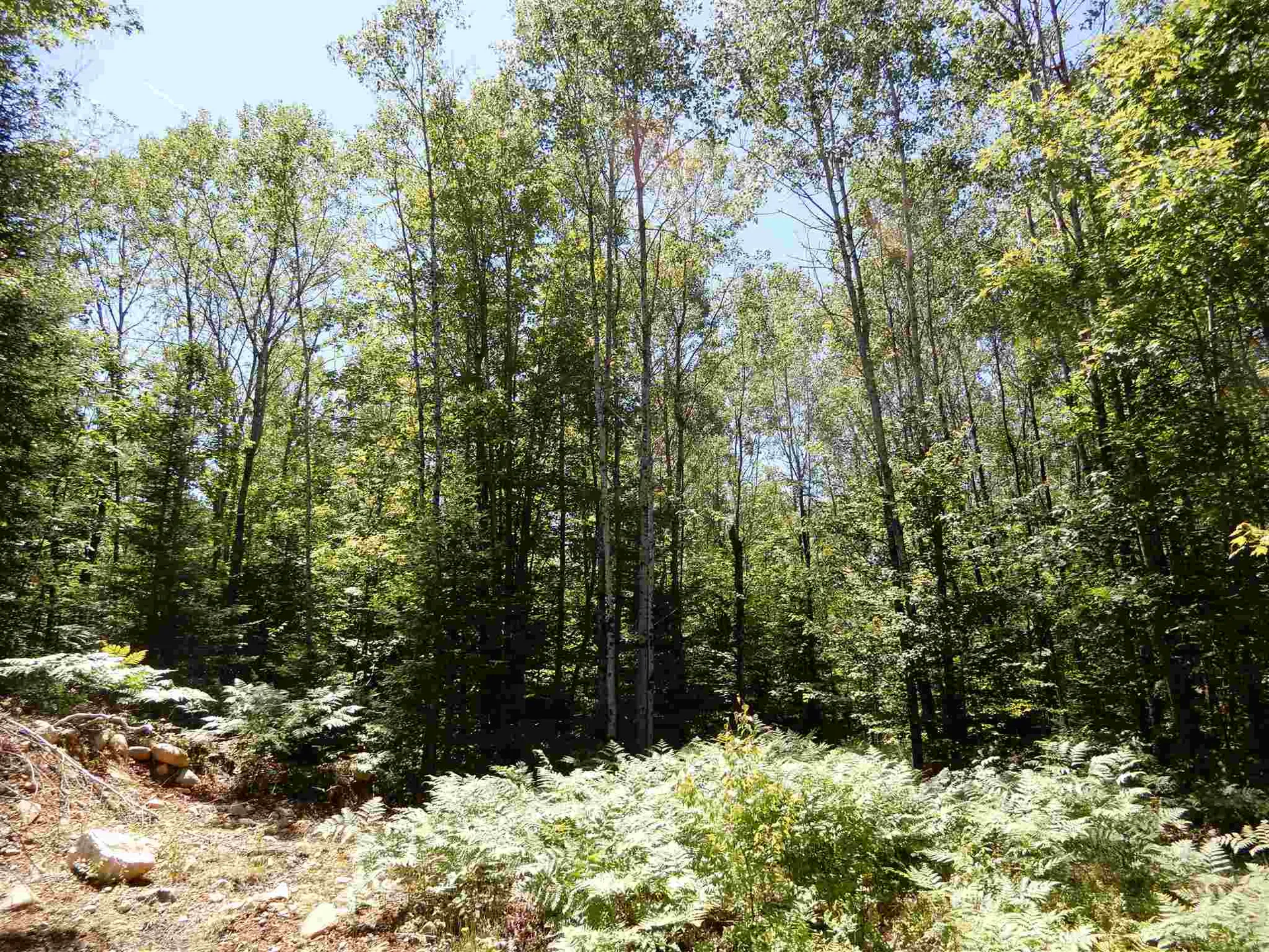 254 River Road Canaan NH 03741