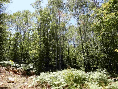 254 River Road Canaan NH 03741
